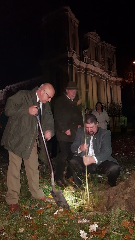 Dąb niepodległości